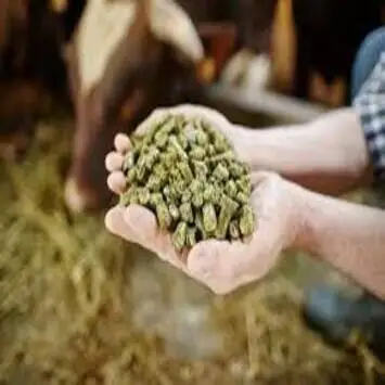 Natural herbal medicines with probiotics feed additive for animal fertility supplement