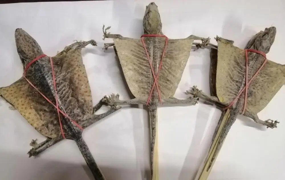 Сушеный ГАК AYAME из Таиланда