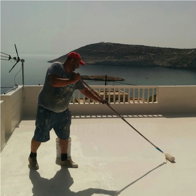 
Resistant to Ponding Water and Freezing Temperatures Polyurethane Waterproofing Coating for Roof 