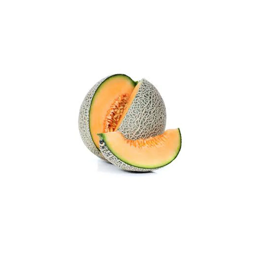 
high premium quality organic fresh Melon , Cantaloupe for wholesale 