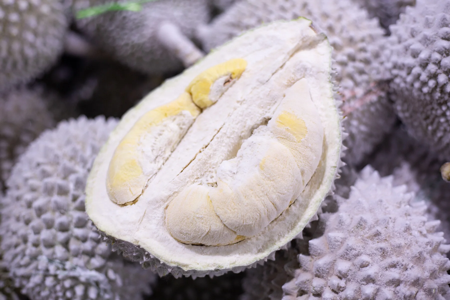 
Premium Grade Musang King A D197 Frozen Durian with Shell from Malaysia Top Durian Fruit Supplier 