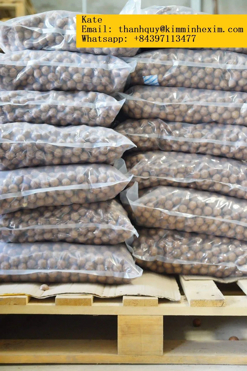  Rich in nutritional value delicious macadamia nuts origin Vietnam