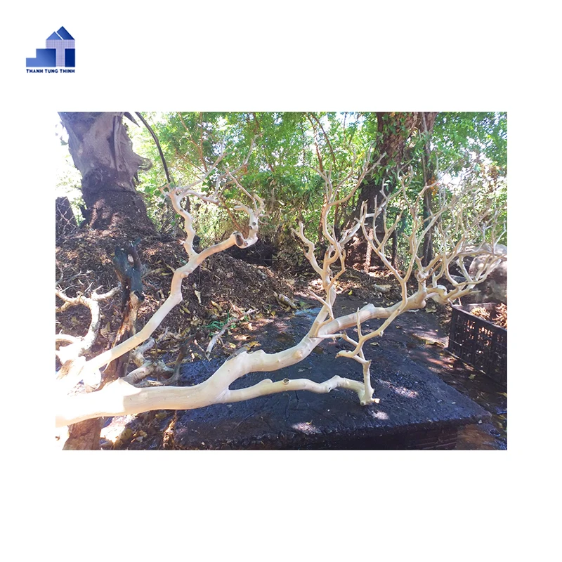 Hot Design 2024 Natural Trunk Driftwood Tree for Aquarium Fish Tank Decoration Ornament WhatsApp +84 963 949 178