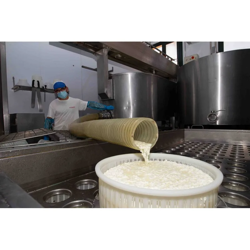 High Quality Italian FUOCO DI ZAFARANA fresh cheese with spicy taste 2kg vacuum pack for export