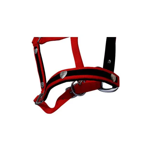 Top Quality Horse Halter