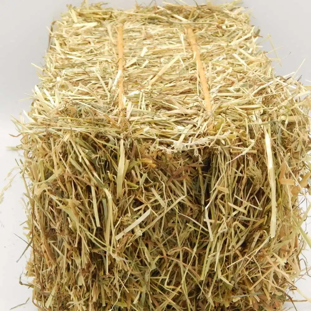 Best Quality American Alfalfa Hay Timothy Hay Cattle Horse Pets Sheep Free 500g Sample