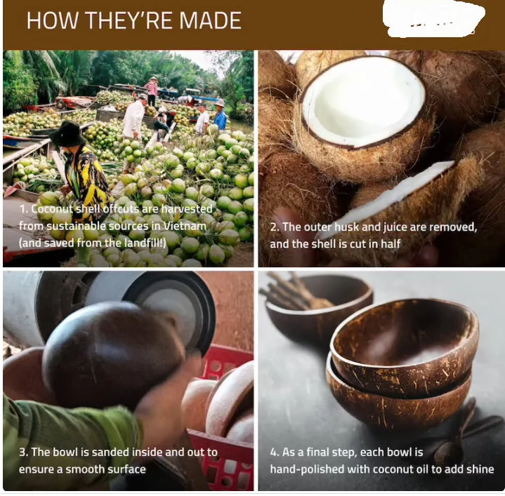 Wholesale Handmade Vietnam Coconut Bowls, Mother of pearl inlaid coconut bowls