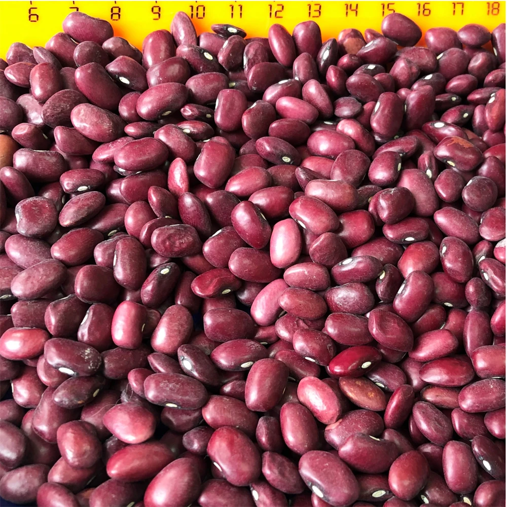 Красная фасоль Премиум-Качества, 25/35 кг в пакетах или оптом, оптовые цены