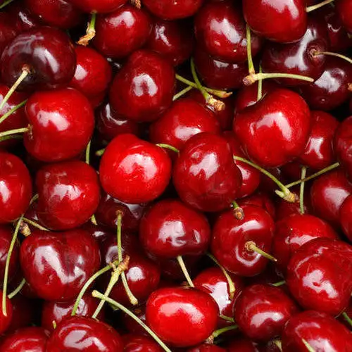 
Fresh Cherries, Fresh Red Cherries From Thailand Premium Grade 