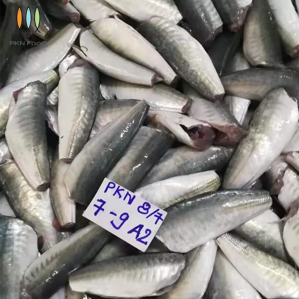 5-7cm 7-9cm 9-11cm BLOCK Frozen Nature Seafood Seasonal Whole Body Decapterus Maruadsi Round Scad HGT
