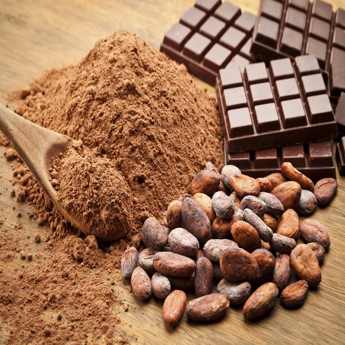 Cocoa Seed Extract Powder / Theobroma Cacao Extract Cacao Powder for sale