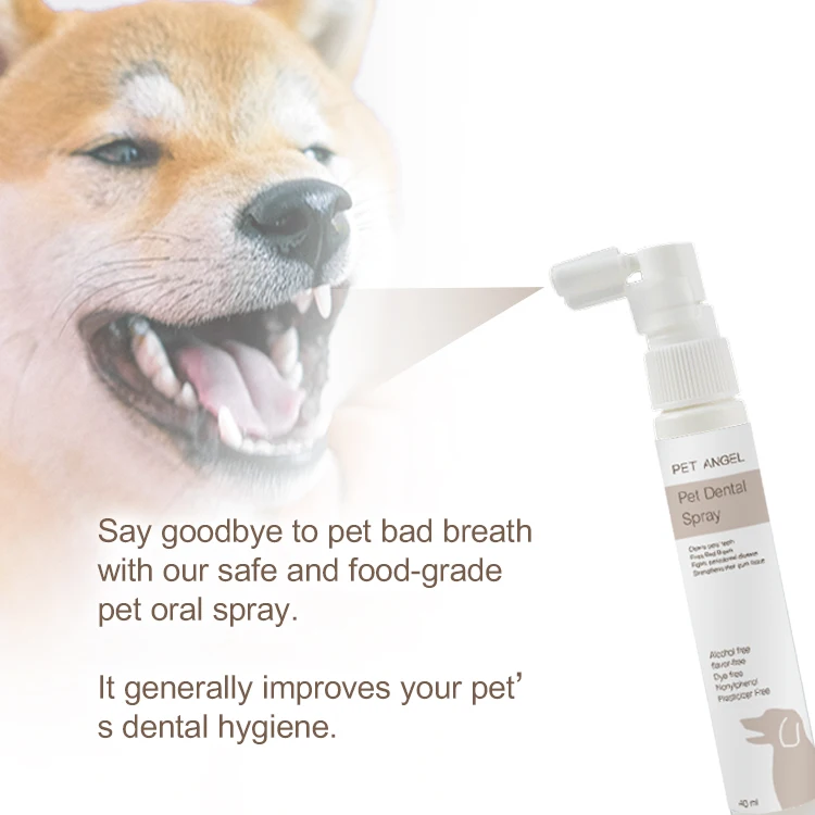 GMP Organic Cat mouth Spray Keep Teeth & Gums Healthy Cat Oral Hygiene Pet Dental Spray 40ml OEM/ODM