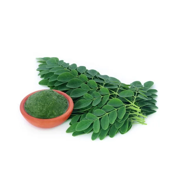 Factory supply high quality 100% pure moringa leaf 100% pure Bulk Organic Moringa Leaf Extract Herbal