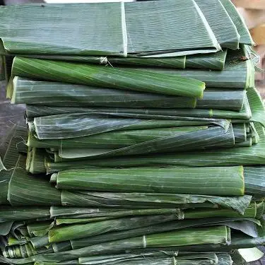 Frozen Fresh Banana Leaf/Use as Natural medicine/