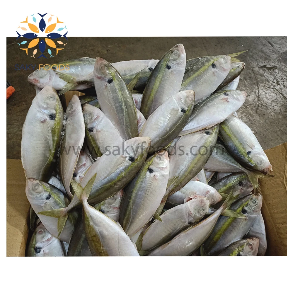 High Quality 2022 Yellow stripe trevally fish with Best Price Seafood made in Viet Nam yellow stripe fish