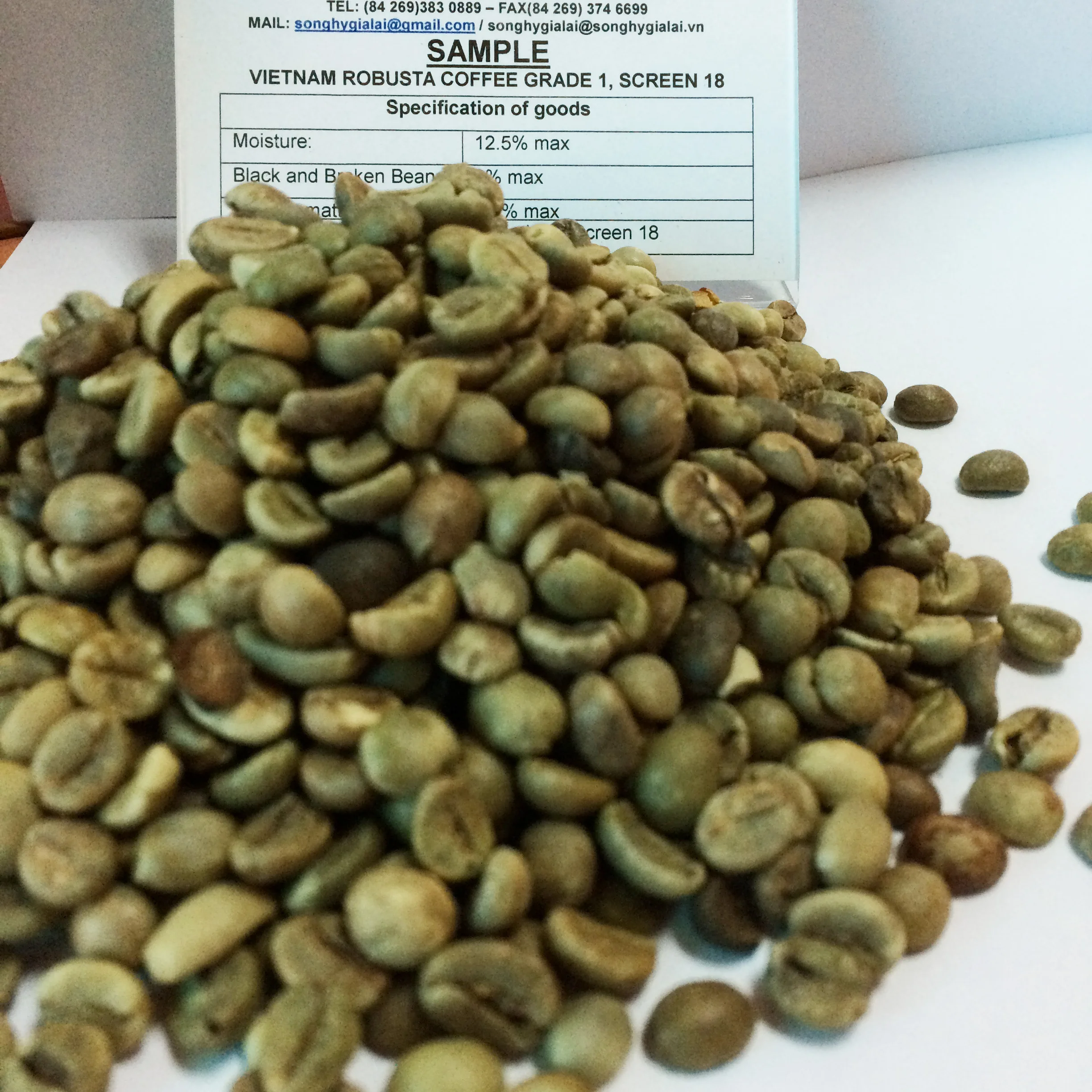 Viet Nam Coffee beans - ROBUSTA COFFEE Grade 1 Screen 18 Cleaned- Best Price from Song Hy Gia Lai