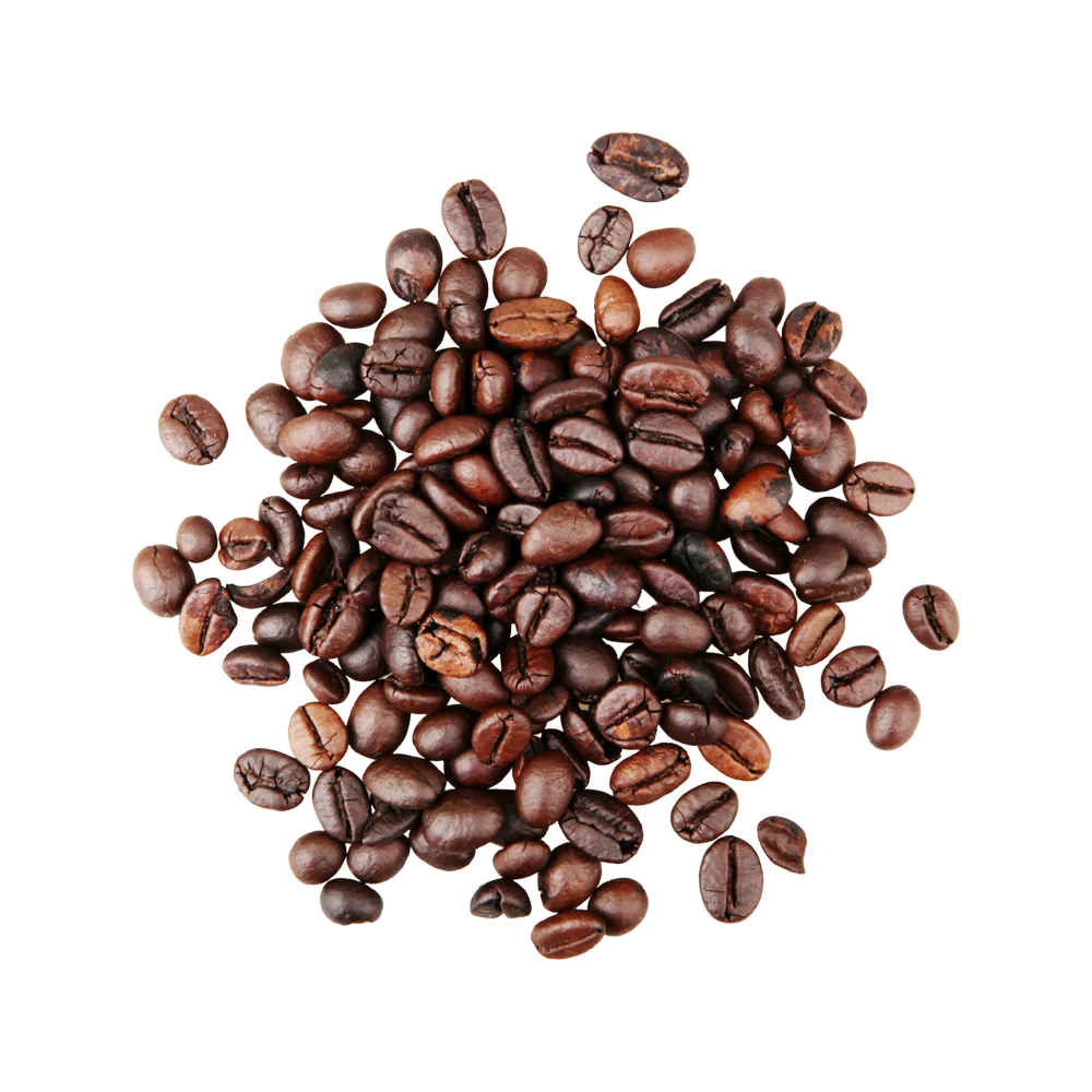 Premium Quality Castorino Whole Bean Coffee MISCELA SUBLIME 60% Arabica for home / HO.RE.CA.