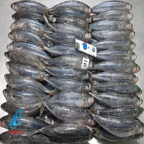 Хит продаж замороженная круглая рыба продукт компании Hai Phu с методом замораживания IQF в кунгай