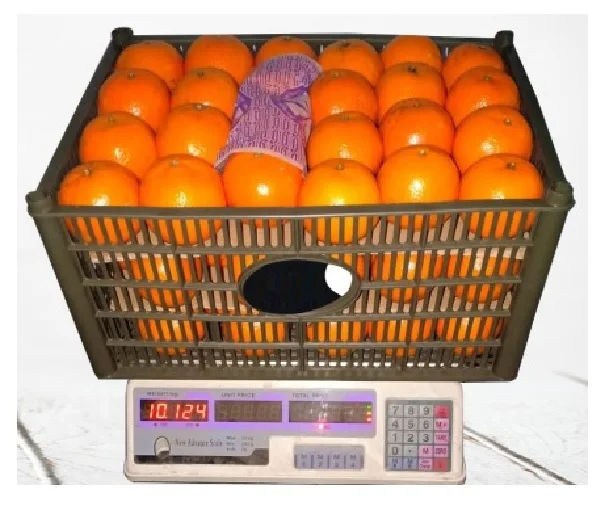 Cheapest Factory price Pakistan made Best Fresh Premium Mandarin Orange For Sale