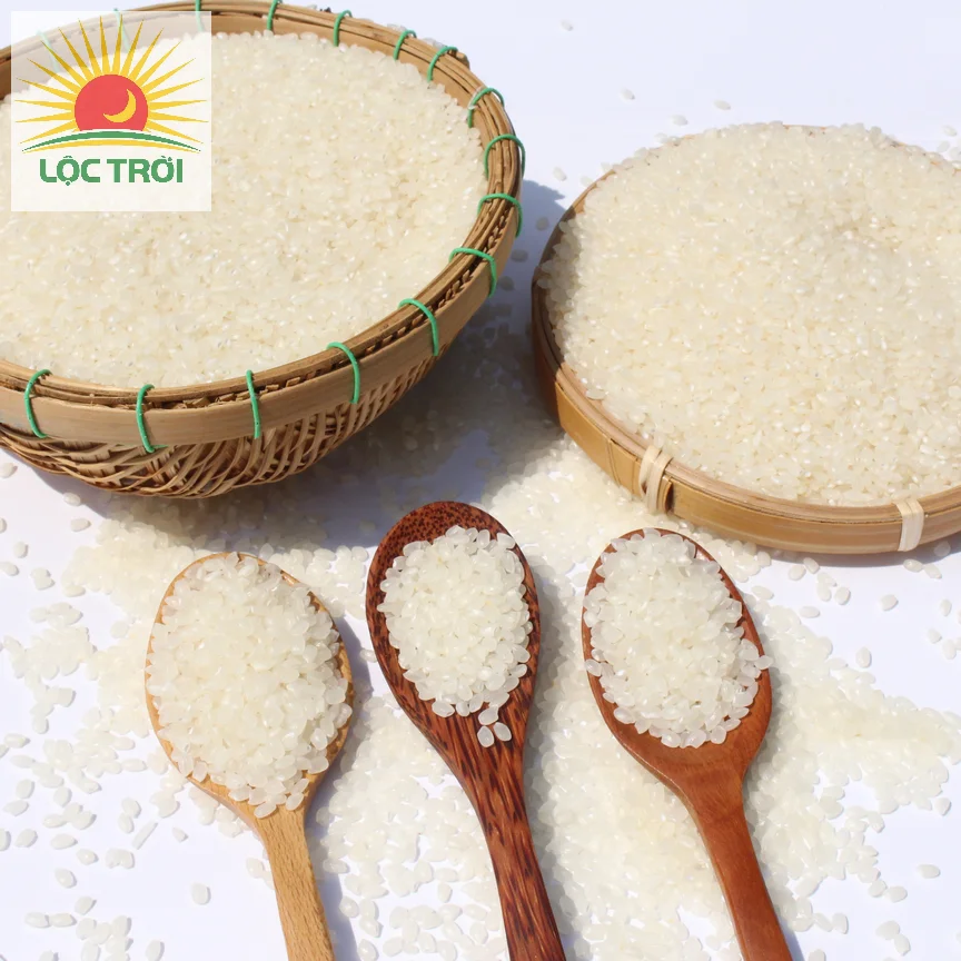 Premium Quality Calrose rice/Sushi rice/ Japonica from Vietnam Best Supplier Contact us - Loc Troi group for best price