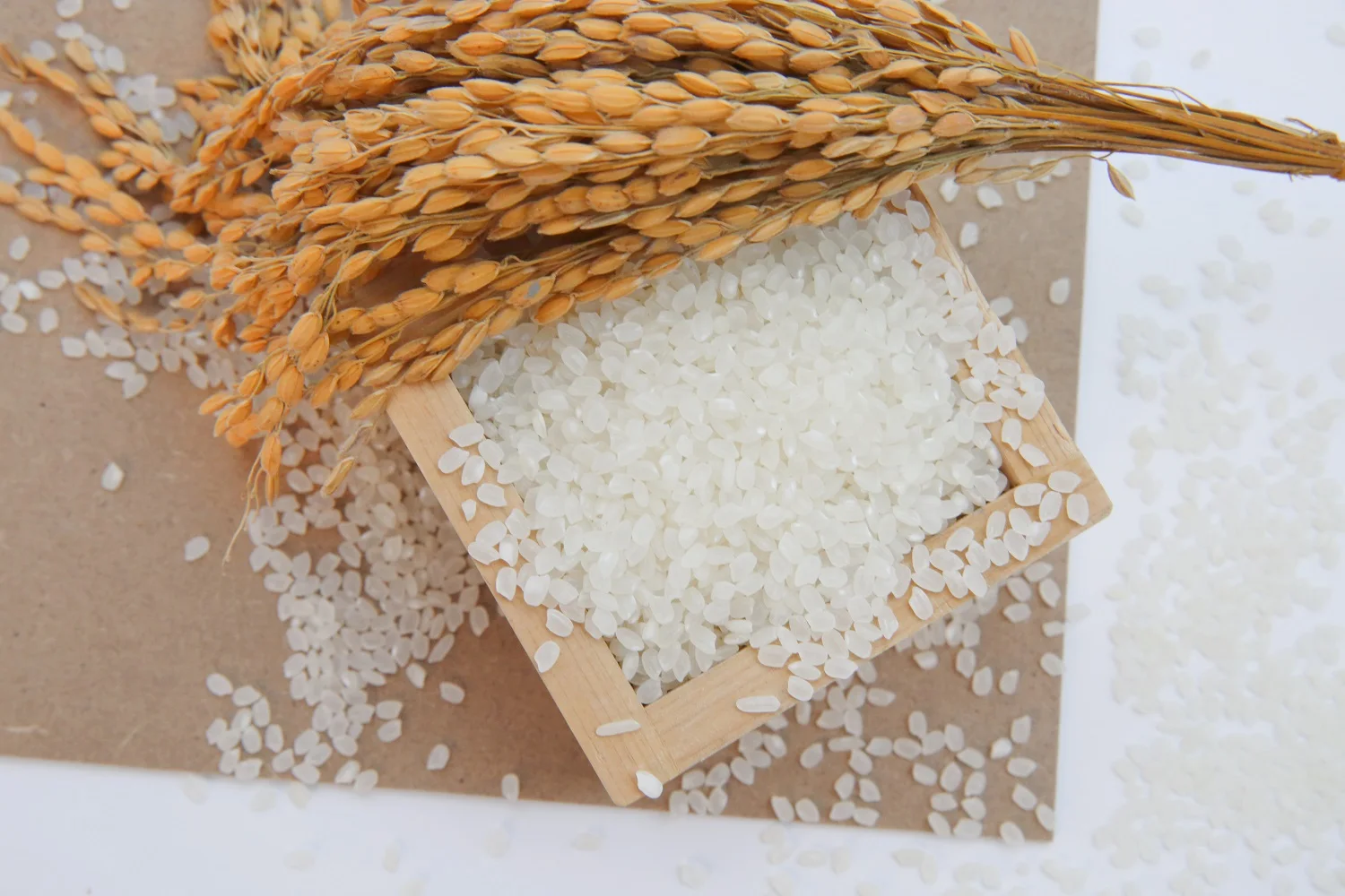 
From Viet Nam High Quality Fresh Aromatic Rice White Rice Organic Japonica Rice 