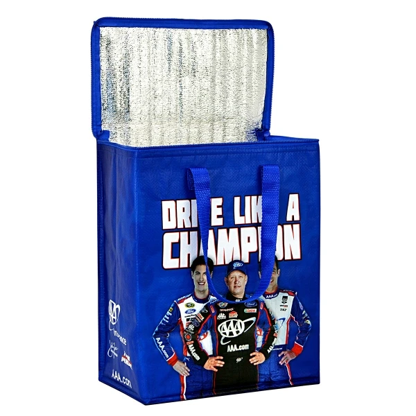 Custom Logo Printed PP Woven Versatile Cooler Bag Carry Food With Zippers For Kids And Adults