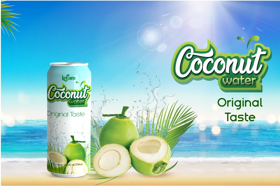 Packing 24 cans Coconut Water Blueberry Flavor with pulp 500ml Fresh Soft Drink Manufacturing ODM LEFAM BEVERAGES agua de coco