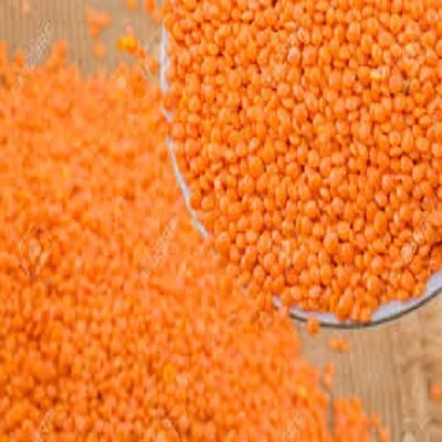 Лучшее качество, австралийская красная спилка и красная чечечевица