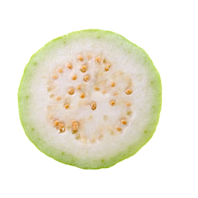 Organic Best Selling Fresh Guava Fruit In Low Price