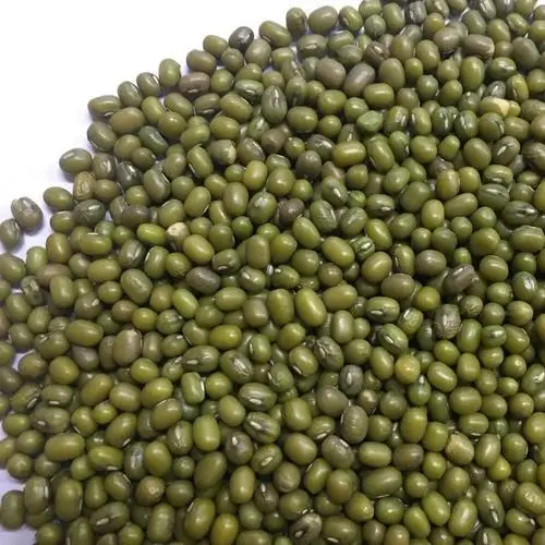 Organic Dried Green Mung/Vagna Adzuki Beans/ Cowpea