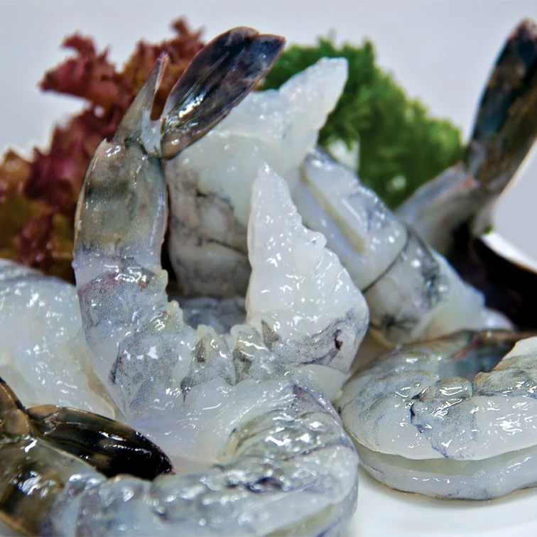 Raw frozen PTO / PDTO shrimp Bulk white leg shrimp