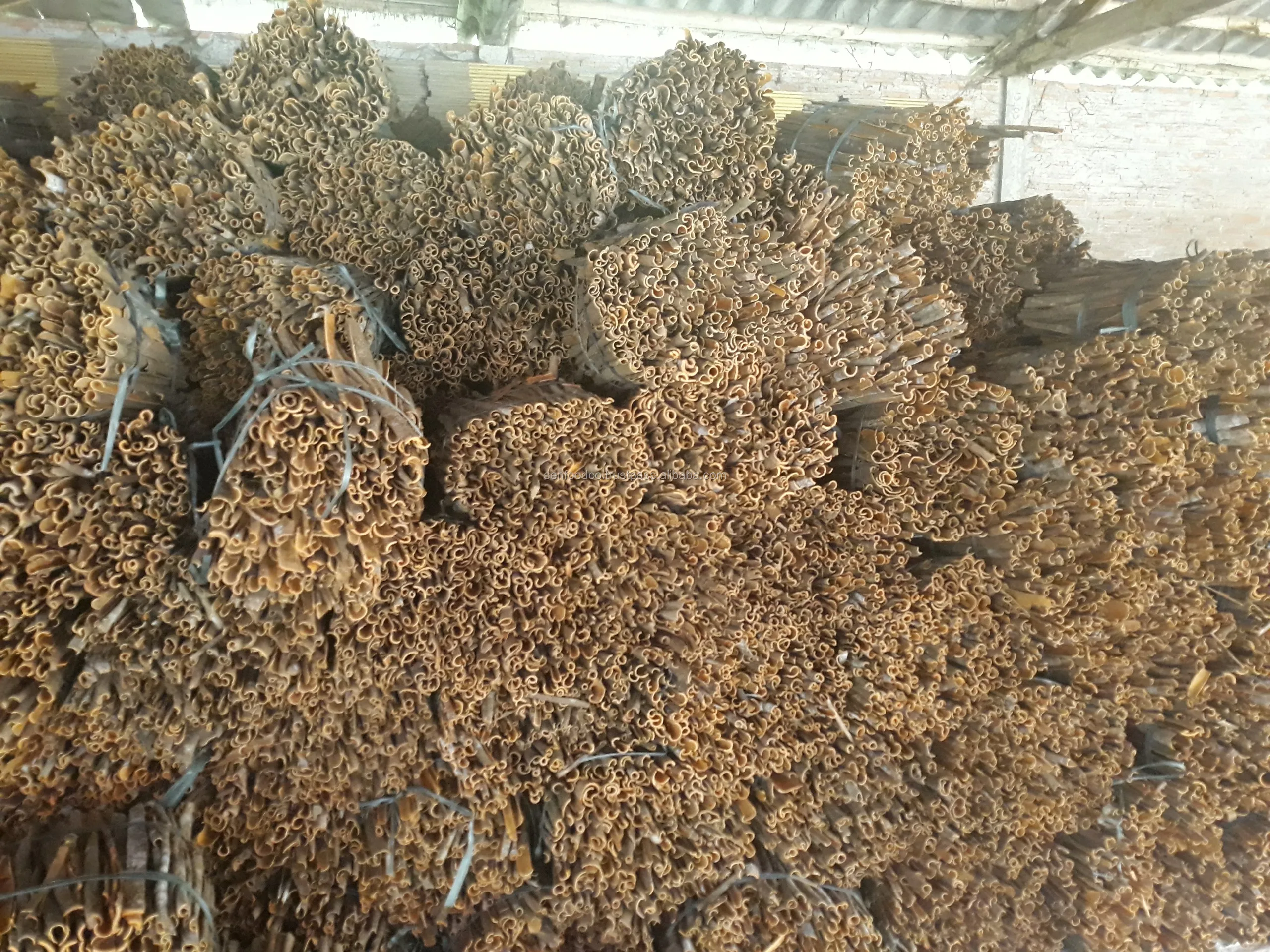 Stick Cassia 3 inches cut from Vietnam New crop 2021 FACTORY PRICES