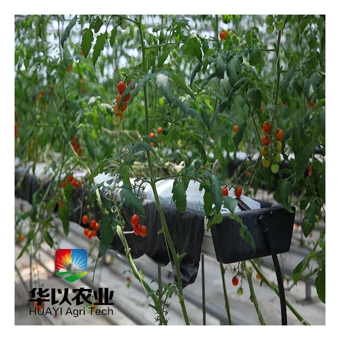 Automated hidroponic cultivation hydroponic vertical growing systems