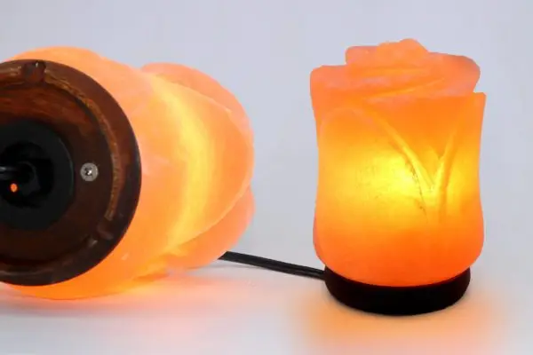 Adorable exporter of Portable Crafted Rose USB Salt Lamp in Bulk quantity form Pakistani origin export