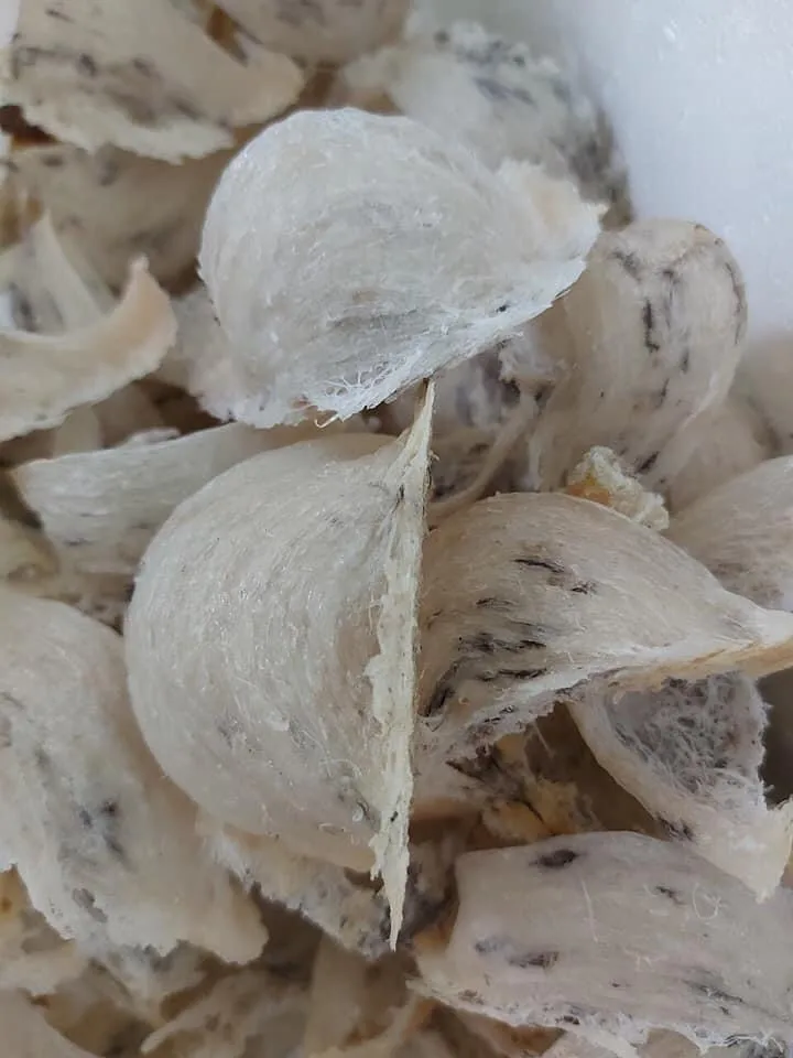 Вьетнамское натуральное необработанное Птичье гнездо, высокое качество, Лучшая цена