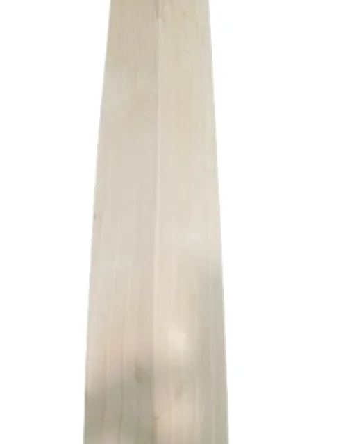 Factory price reasonable price for everyone High Quality Cricket Bat with High Performance And Good Punch in Low Price