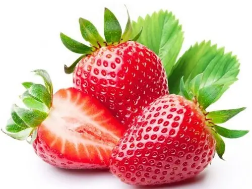 Bulk Suppliers Of Strawberry Seed Oil Carrier Oil Manufacturer in India