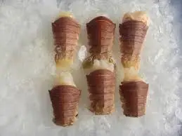 
FROZEN SAND LOBSTER FROM VIET NAM 