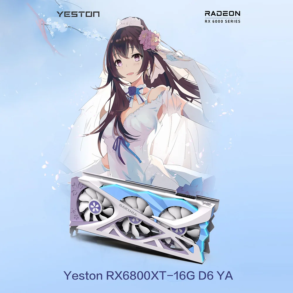 Yeston RX6800XT-16G D6 YA с 16G/256bit/GDDR6 памяти двойной свет GPU DP + HD Type-C выходными портами компьютерных игр видеокарта