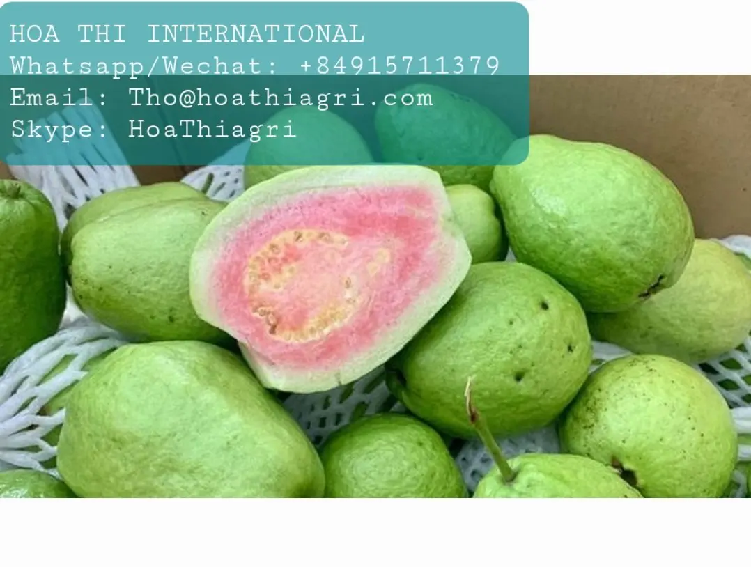 Natural Flavor Common Cultivation Type Oval - round Shape 50-70 mm Size 1Kg Fresh Vietnam Guava Cheap Price