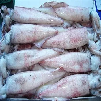 COMPETITIVE PRICE DRIED SQUID WING/ DRIED LOLIGO SQUID form