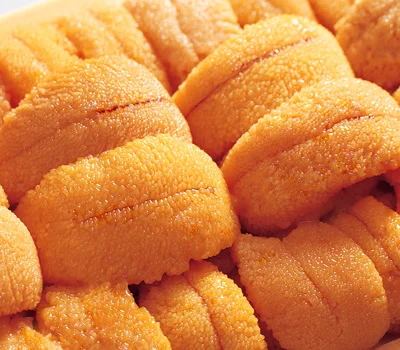 Замороженный питательный морской урчин для продажи по низкой цене