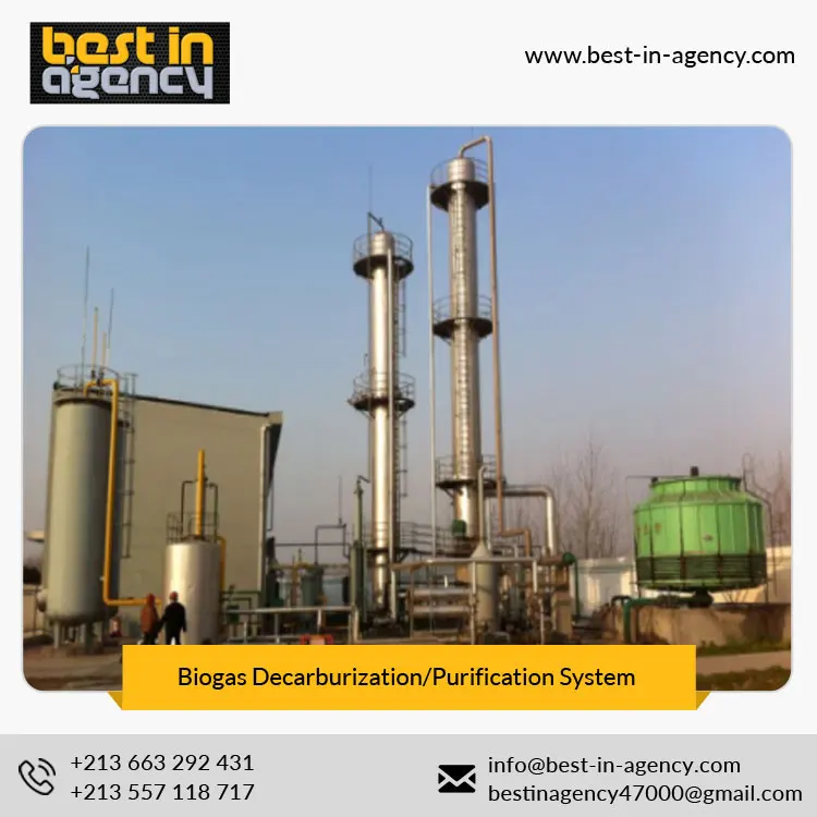 2*5, 000 Cubic Meters Nm3 Carbon Removal Biogas Upgrading/Decarburization/Purification System