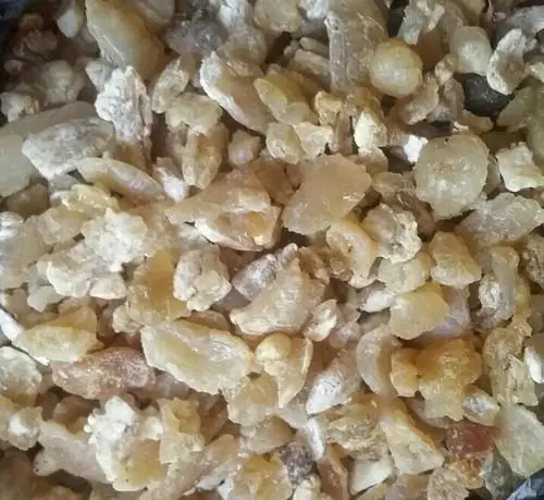 
Asafoetida 