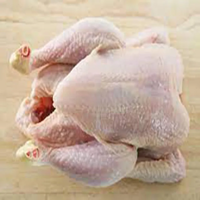 Nutritious Halal Freshly Frozen Chicken Wings Halal Premium Top Quality For Sale
