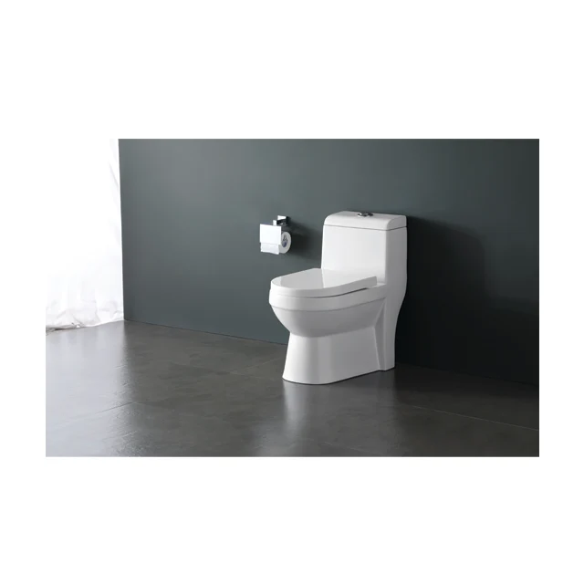 Porcelain sanitary ware bathroom suite toilet