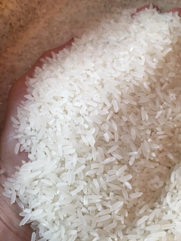 
Ready To Ship Popular Long Grain White Rice 5% Broken OEM Order Milled And Sortexed Rice 
