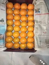 Fresh Mandarin / Fresh Citrus / Fresh Oranges