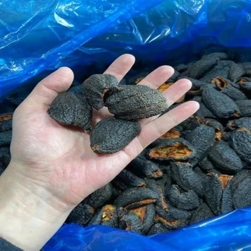 Сушеный качественный морской огурец