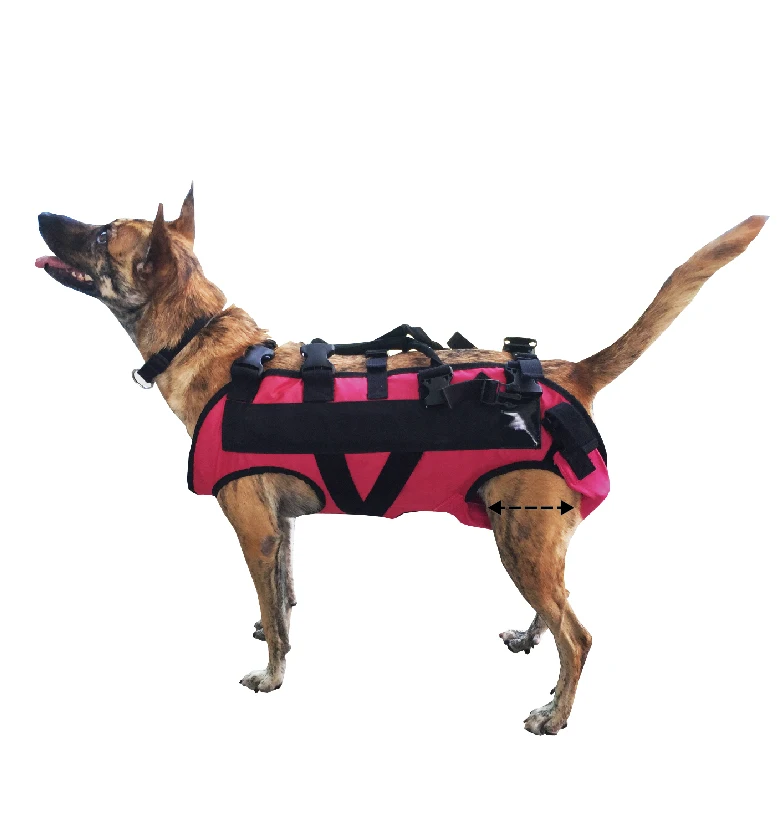 Pet Dog Walk Assist Auxiliary Belt